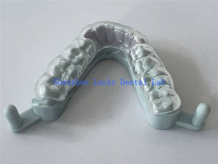 Pabrik Penjaga Malam Cetak 3D yang sangat baik